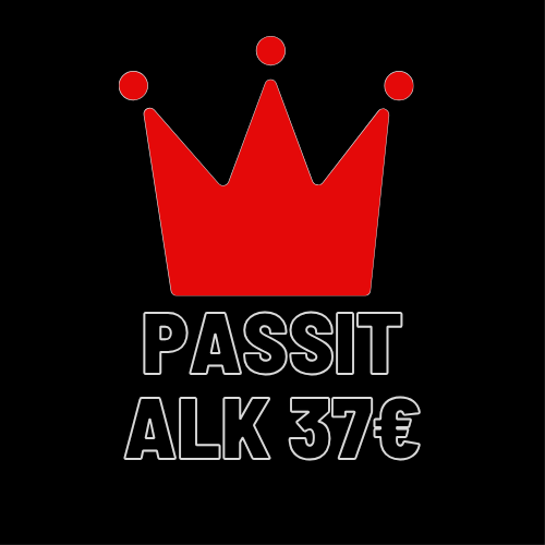 Näin maksat passilla